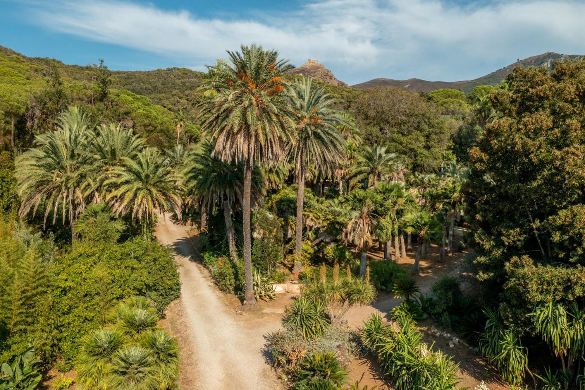 Resort Village Rosselba Le Palme 3*