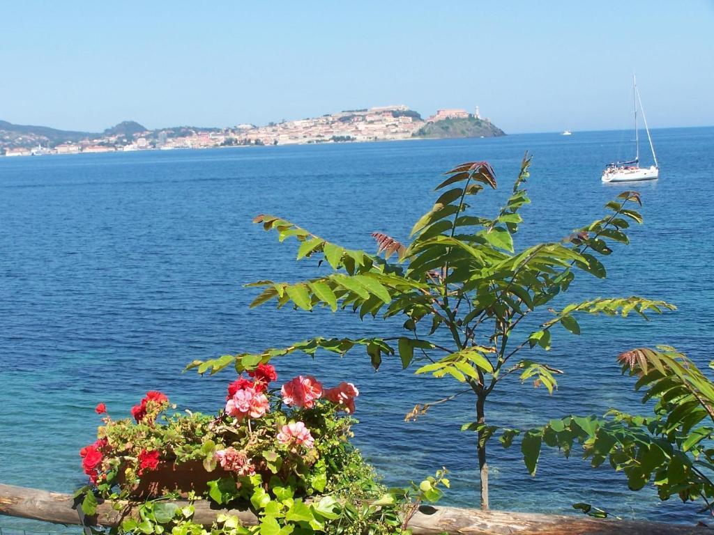Resort Village Rosselba Le Palme 3*