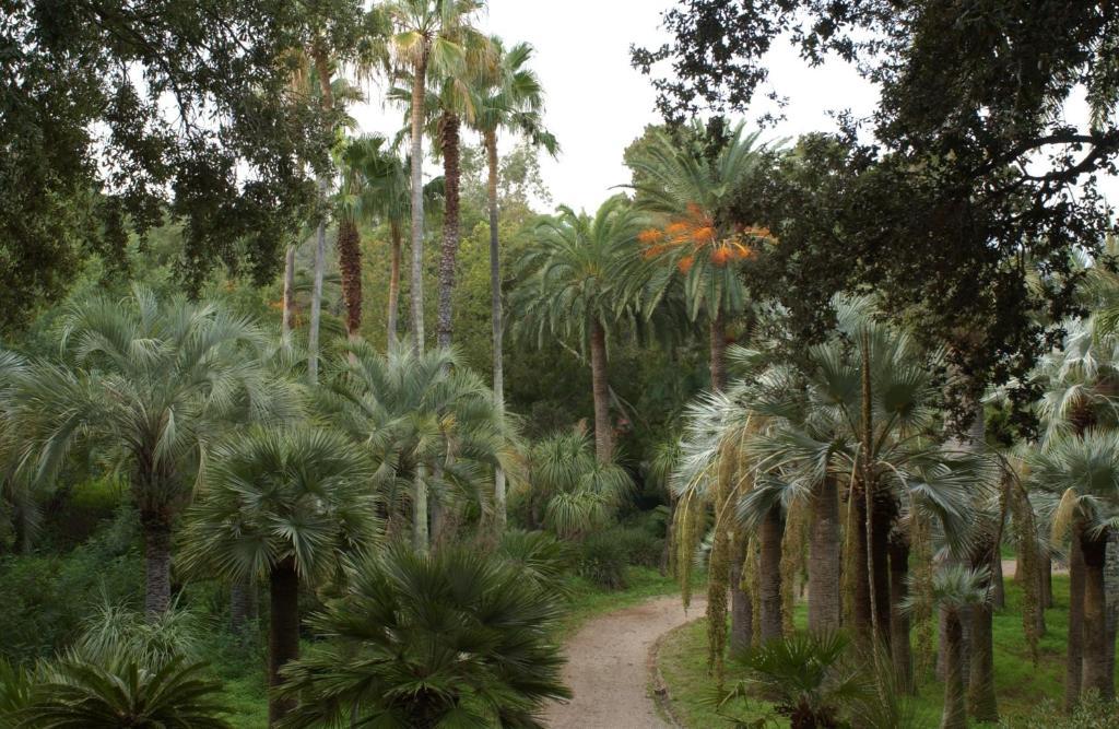 Village Rosselba Le Palme 3* Portoferraio
