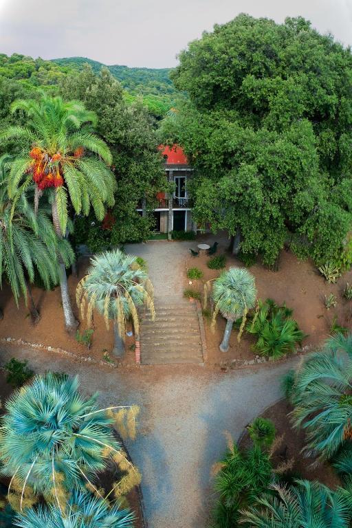 Village Rosselba Le Palme 3*